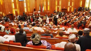 N370 Million Vehicle Purchase: Nigerians condemn Senate